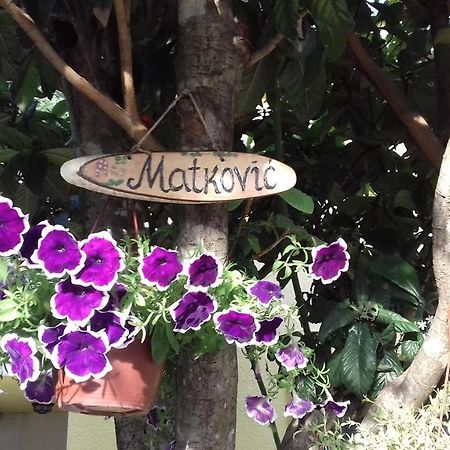 Apartments Matkovic โกตอร์ ภายนอก รูปภาพ