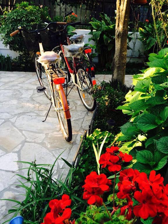 Apartments Matkovic โกตอร์ ภายนอก รูปภาพ