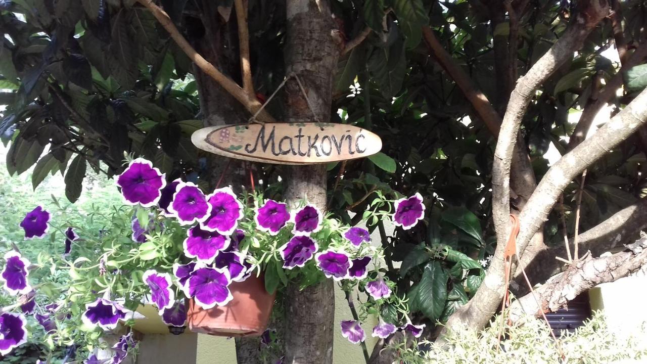 Apartments Matkovic โกตอร์ ภายนอก รูปภาพ