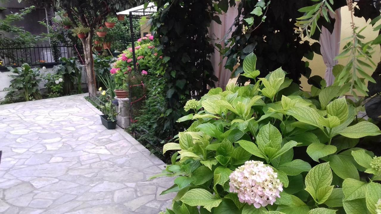 Apartments Matkovic โกตอร์ ภายนอก รูปภาพ